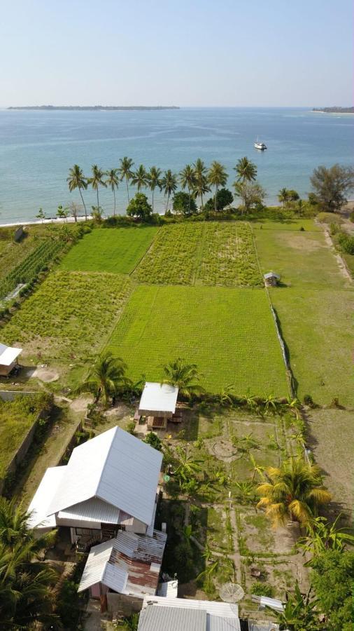 The Daun Puntik Homestay Pemenang Exterior foto