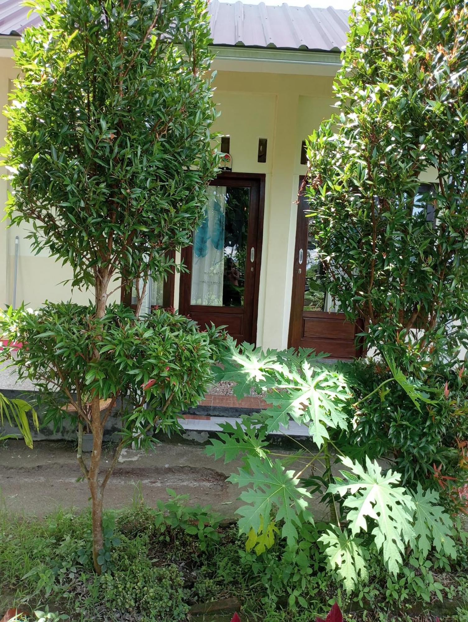 The Daun Puntik Homestay Pemenang Exterior foto